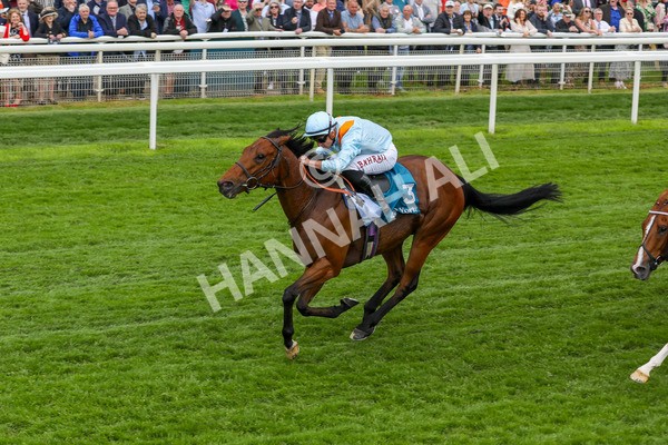 160524-Race 1-Clarendon House-1767 - Race 1 2.15pm Lindum York Handicap