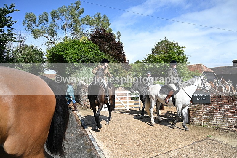 WJ7_7193 - Berks & Bucks at Blandy’s Farm 31-08-25