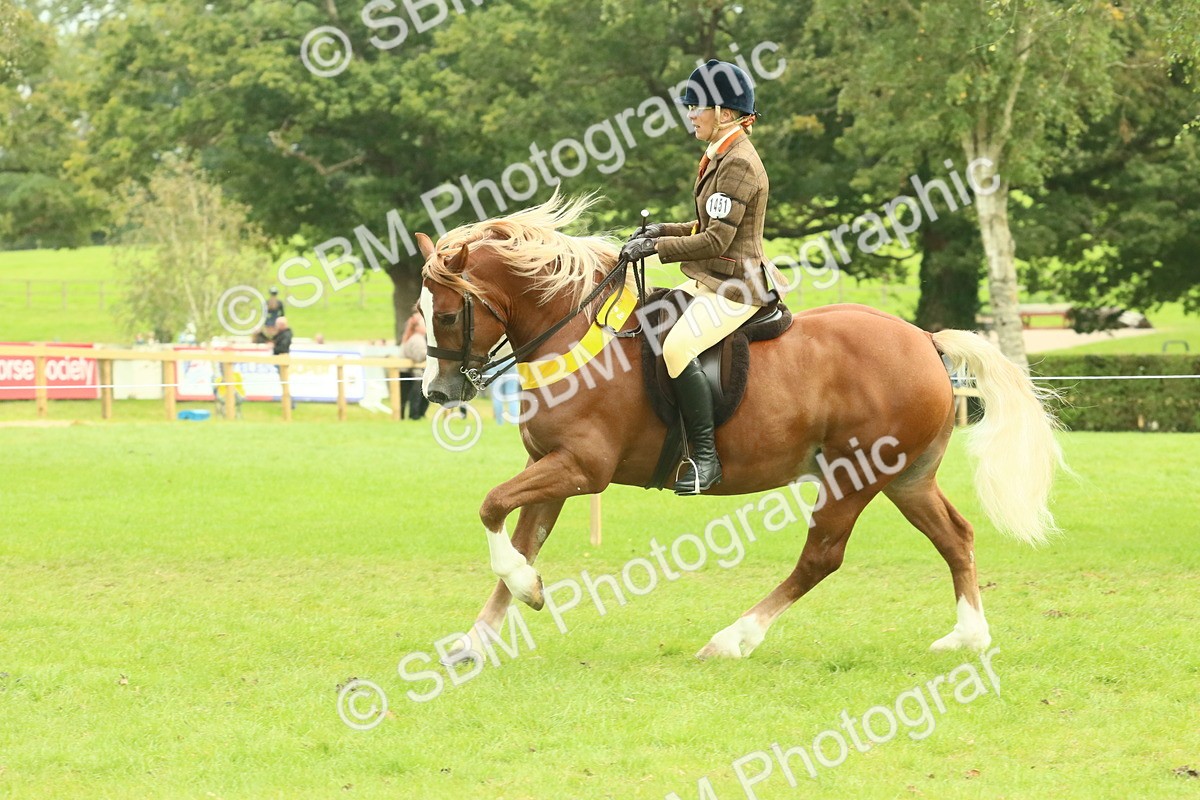 SBM_75039 - Ridden Pony Supreme Championship
