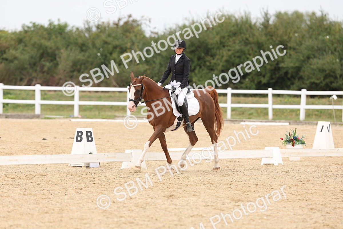 SBM_02069 - Class 8 - Novice 27 Champs