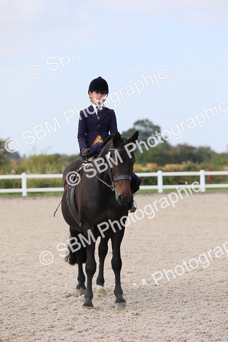 SBM_14582 - Class 211 Best Side Saddle Horse/Pony