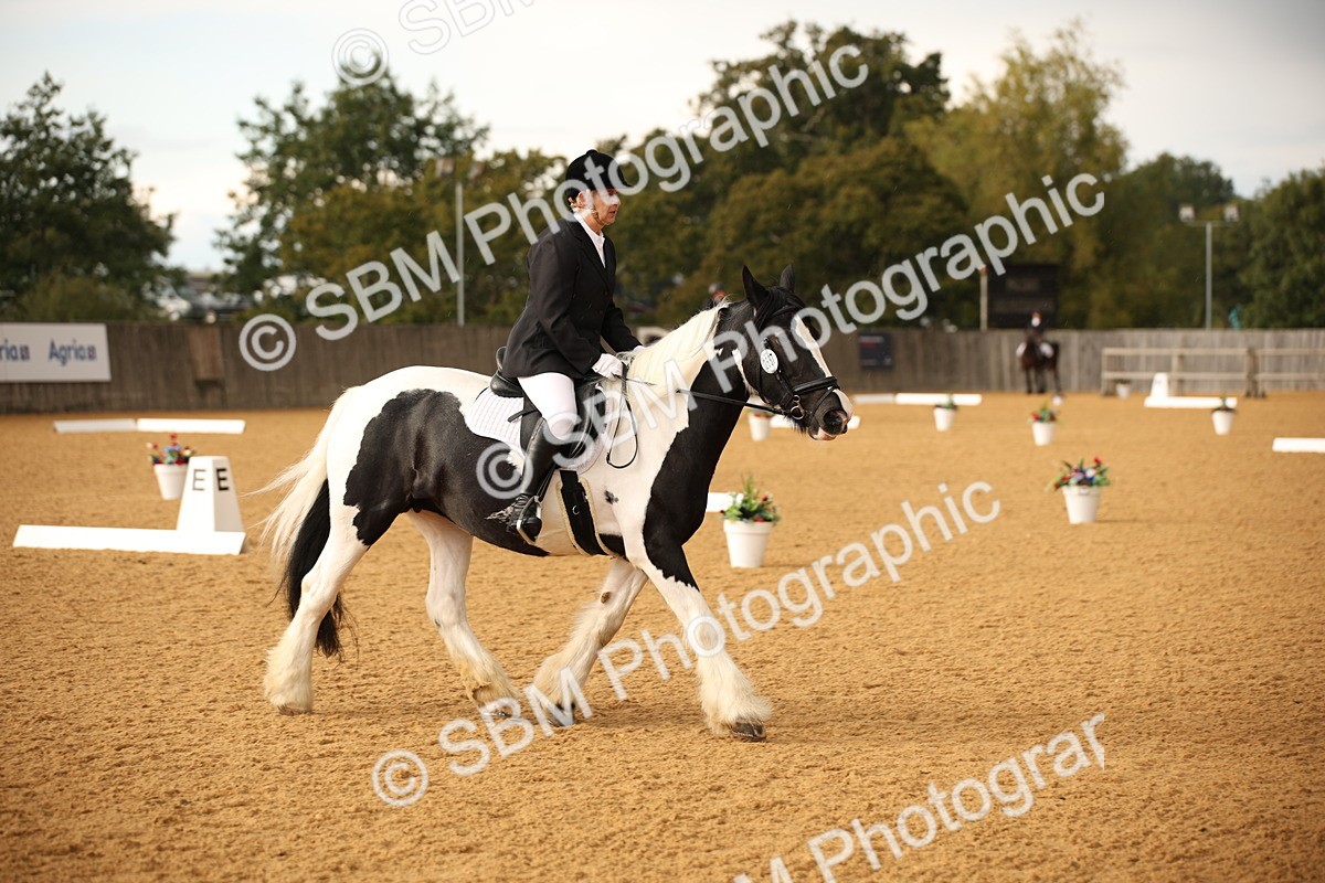 SBM_12379 - D3 Small  Tour Championship Intro A