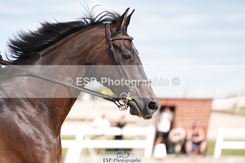 250802-162848-11222 - Cls 25 Senior 1.15 Open (inc Members Cup)