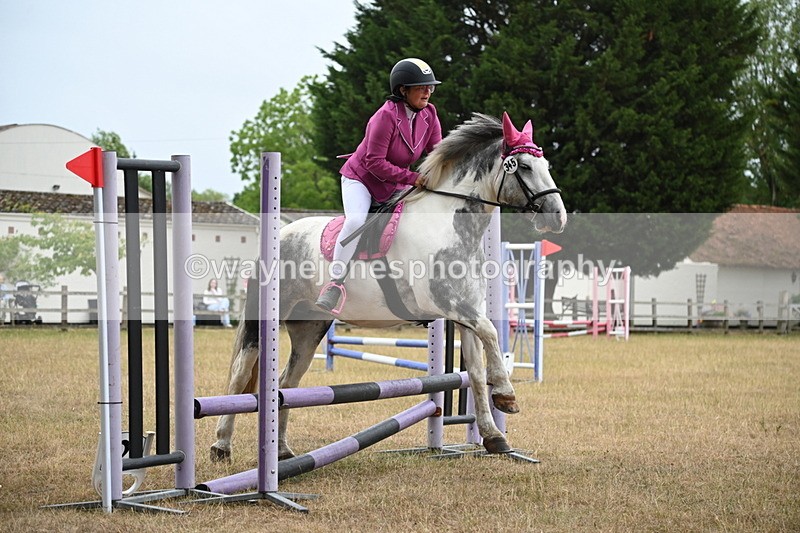 WJ6_0086 - Class 13 Novice Jumping 60cm