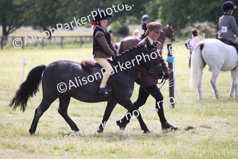 20260614-0595 - Class 20 - Beginners Working Hunter Pony
