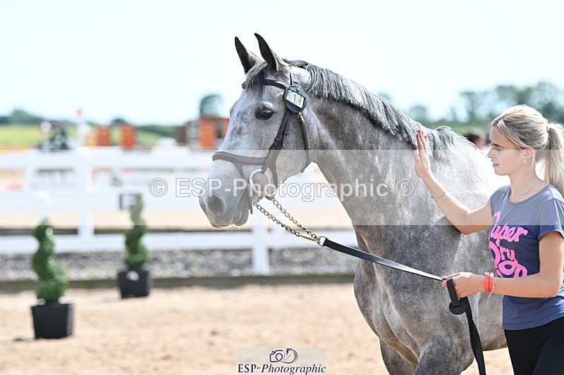 240717A-150559-02534 - Trot Up 3pm to 4pm