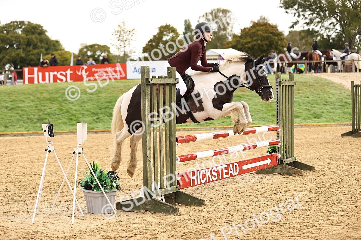 SBM_58210 - J41 - Grand Tour Horse & Pony 95cm