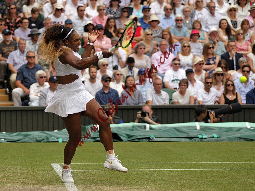 AF0I0052 - Wimbledon