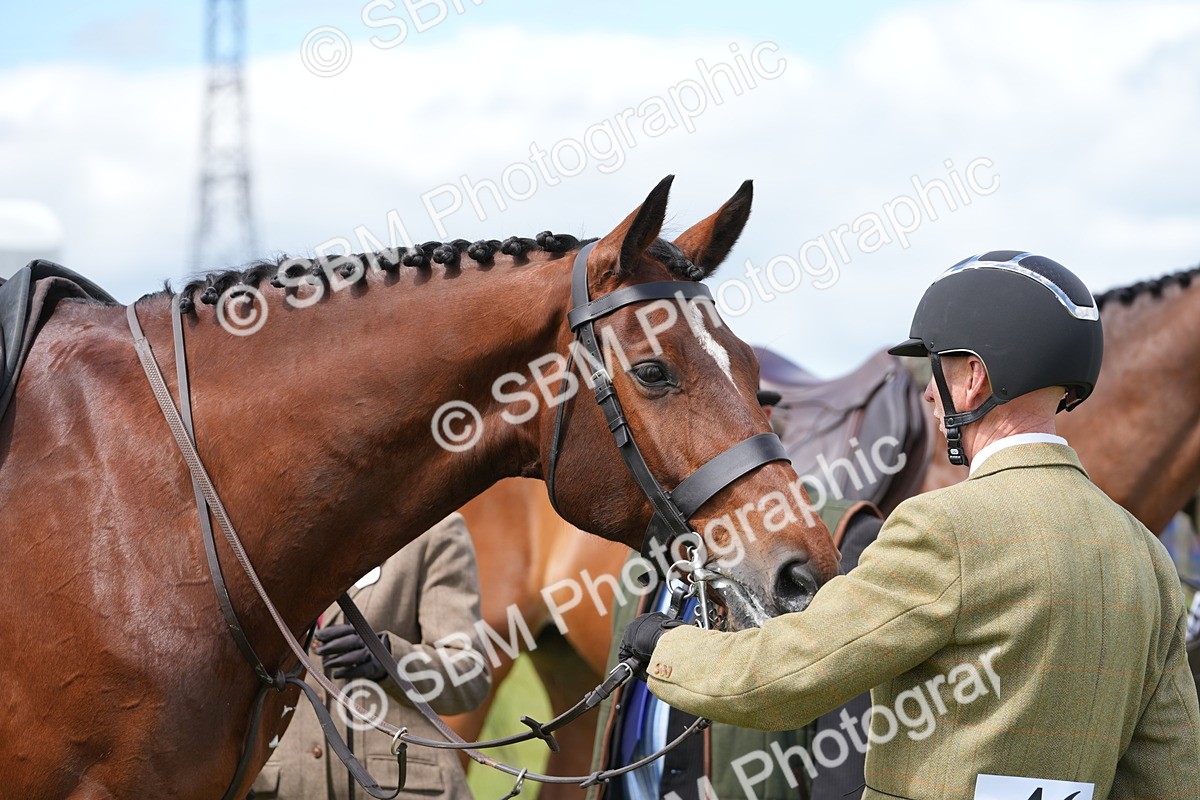 SBM_15030 - Class 100-102 - RIHS Working Hunter