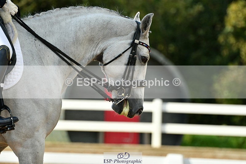 230912A-173355-02073 - Cls 23 FEI Grand Prix