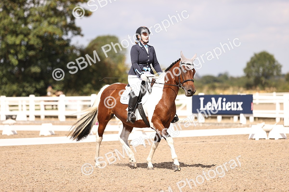 SBM_03713 - CLass 35 Intro 3