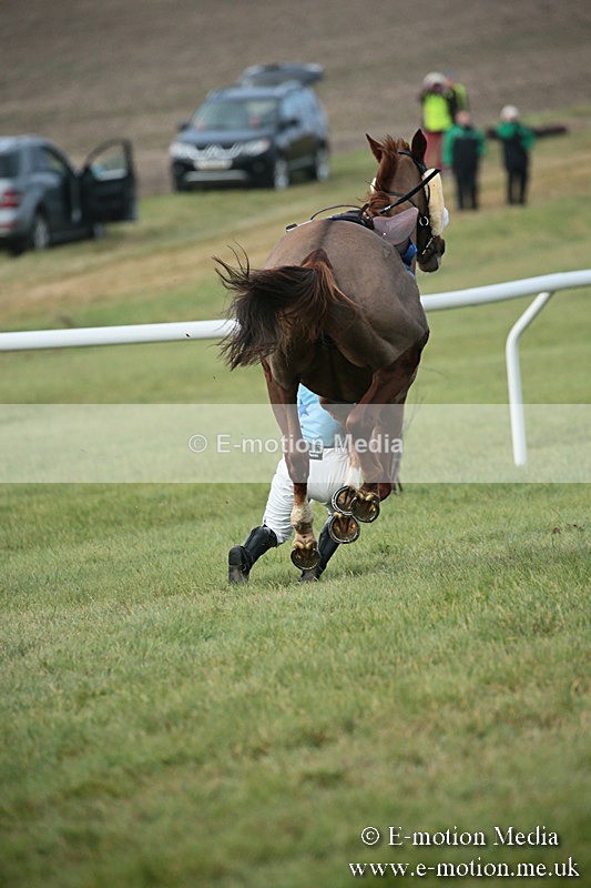PtP 251118-78 - Vine & Craven Point-to Point Barbury Racecourse 25/11/18