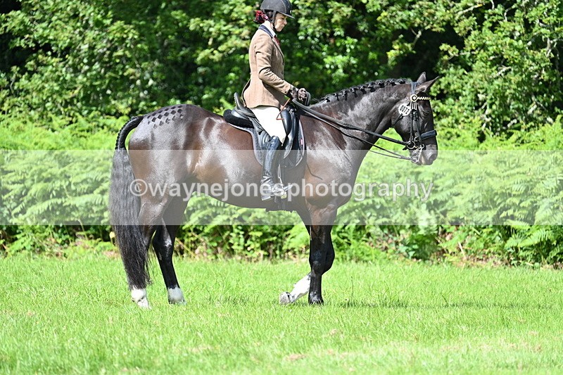WJ7_1046 - Class 11 Condition & Turnout