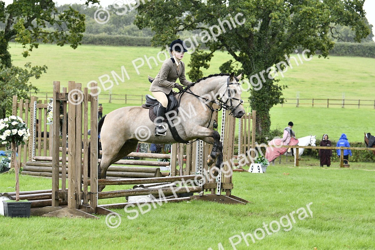 SBM_41439 - S32 - Mountain & Moorland Working Hunter Pony