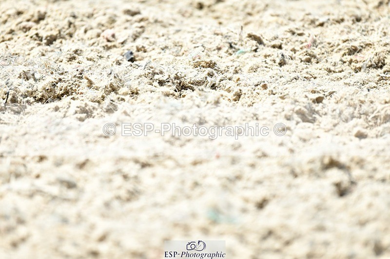 230623-133249-02399 - Cls 4 Novice 37Q 12.45 to End