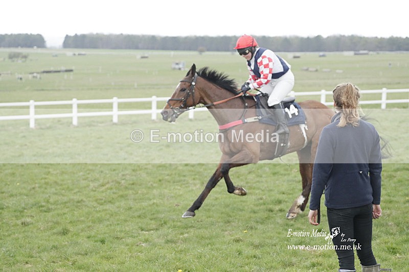 PtP 260323 0594 - New Forest Hounds Point-to-Point Larkhill 26/03/23