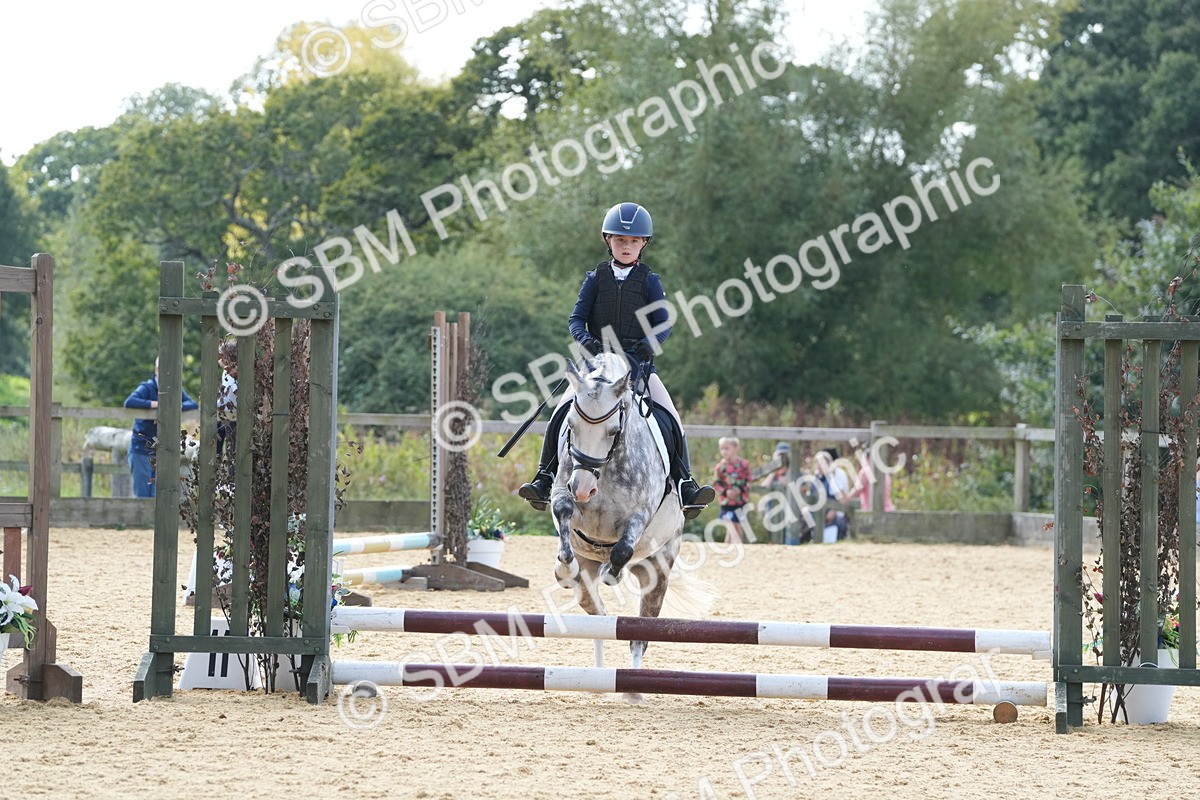 SBM_68348 - J3 - Mini Tour Junior Pony 40cm Championship
