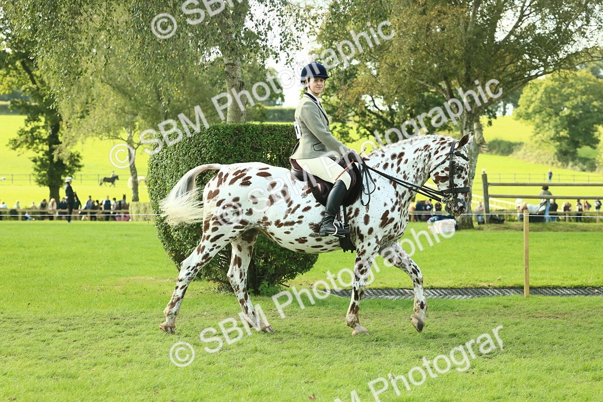 SBM_62383 - S62 - Foreign Breeds Ridden