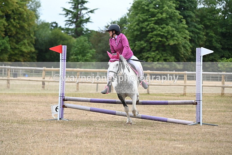 WJ6_0344 - Class 13 Novice Jumping 60cm