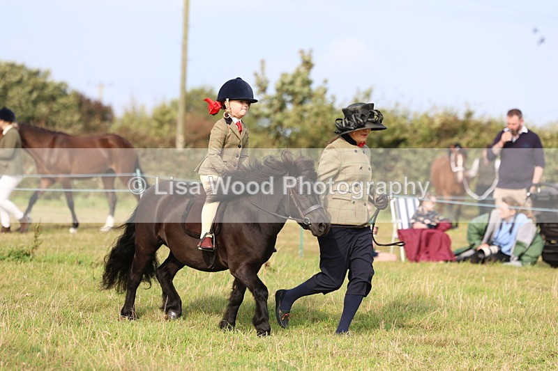 3E7A3683 - Class 2: Lead rein