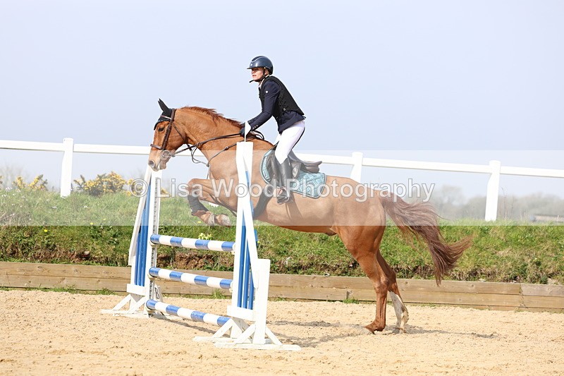 3E7A6769 - Class 4: Senior British Novice/90cm open