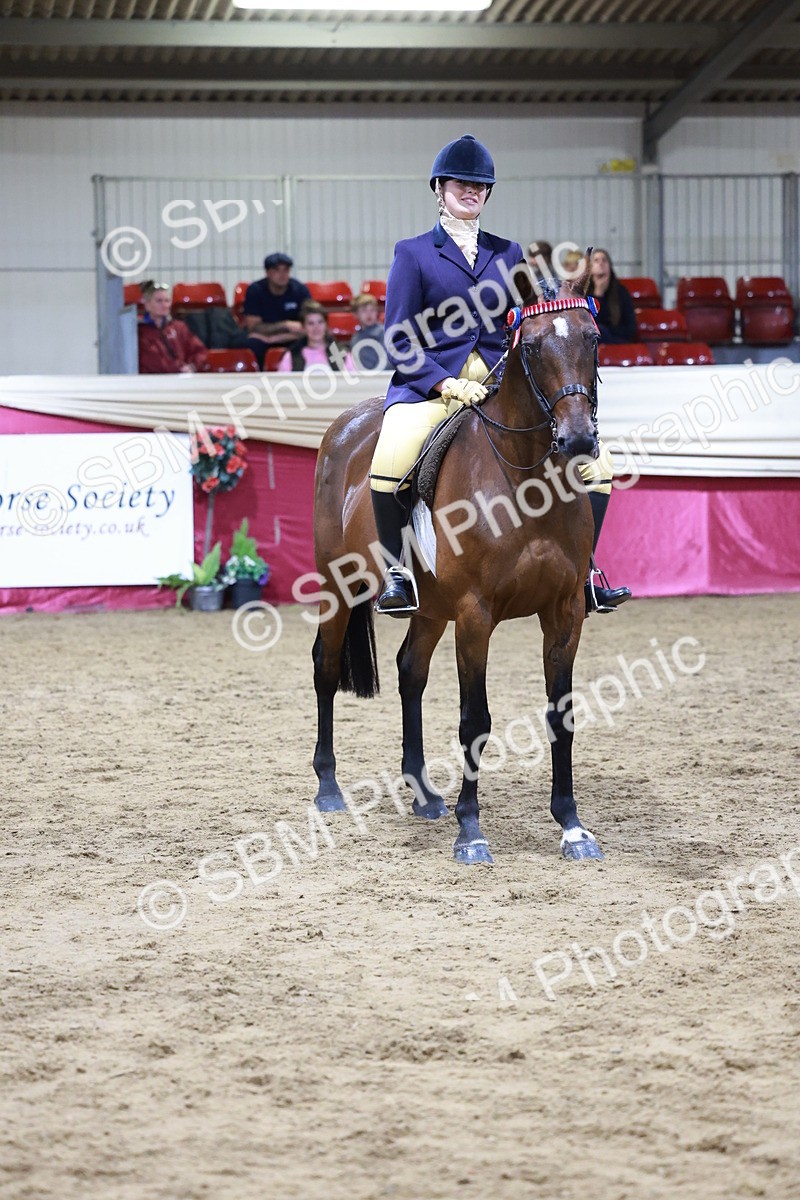 SBM_20568 - Class H - IH Competition - Riding Club champ