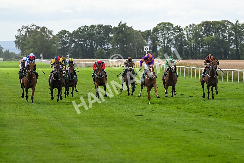 080825-Race 4-Equity Law-2318 - Race 4