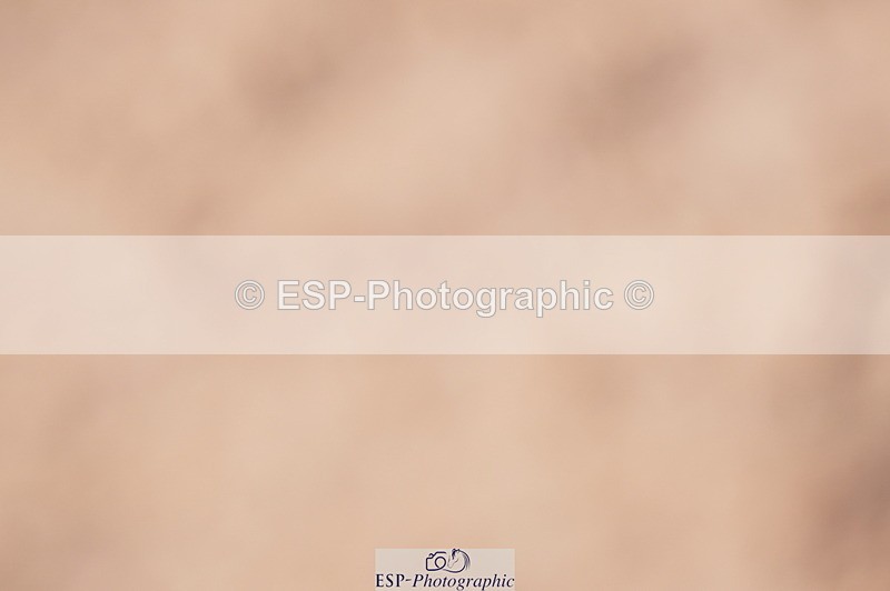 240728A-094604-08010 - Cls 25A Snr 1.05m