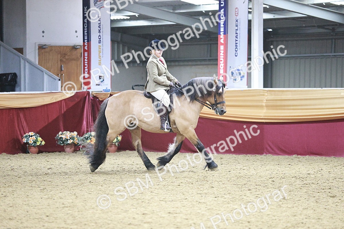 SBM_08109 - Class 11R - Regional Ridden Veteran