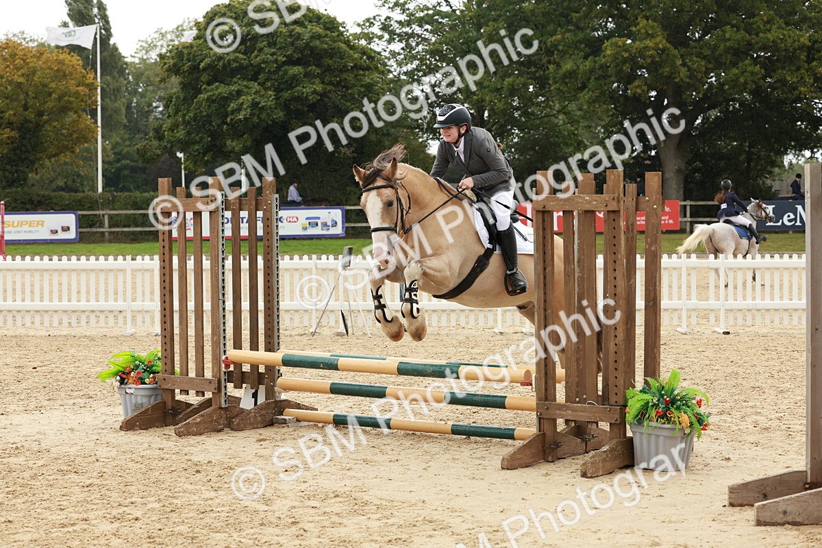 SBM_69269 - J13 - Junior Pony 60cm Championship