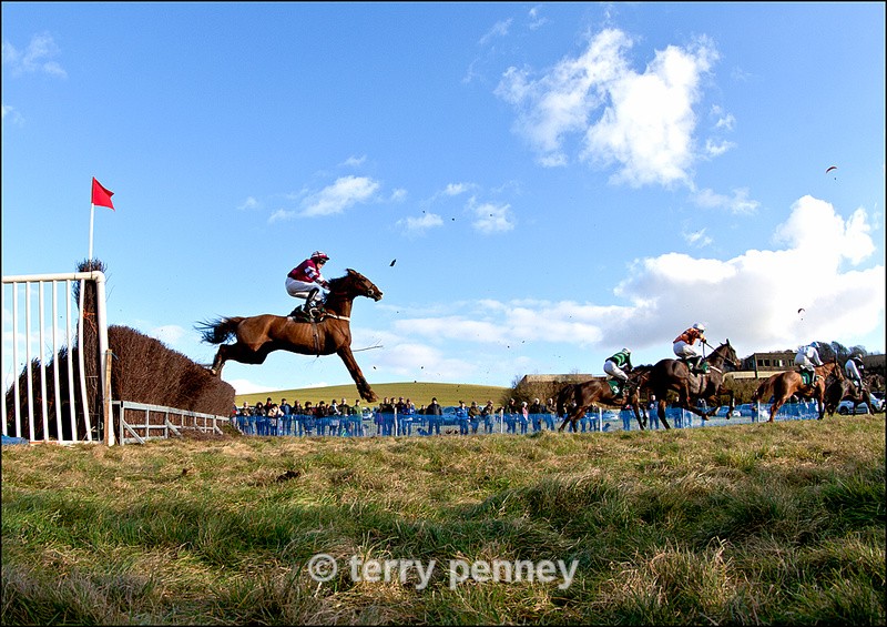 Point to Point 2012 2 - Equestrian Sport