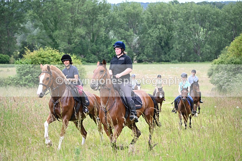 WJ6_8427 - Camera 1 Gallops
