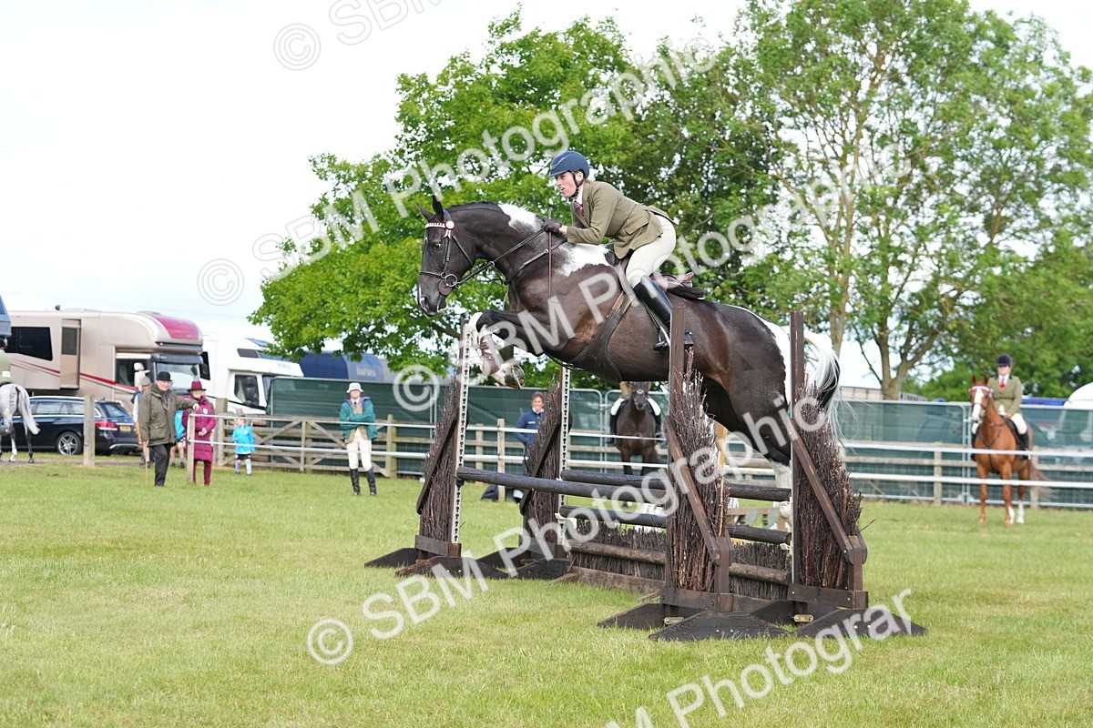 SBM_12875 - Class 99 - RIHS SEIB Working Show Horse
