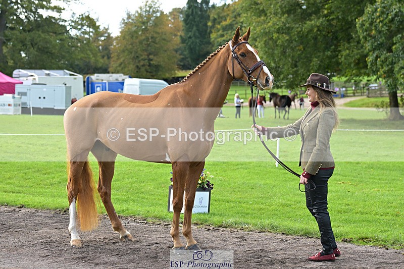 241023-131711-00180 - 010-Julia.Norman-SCOTCH.ON.THE.ROCK'Z