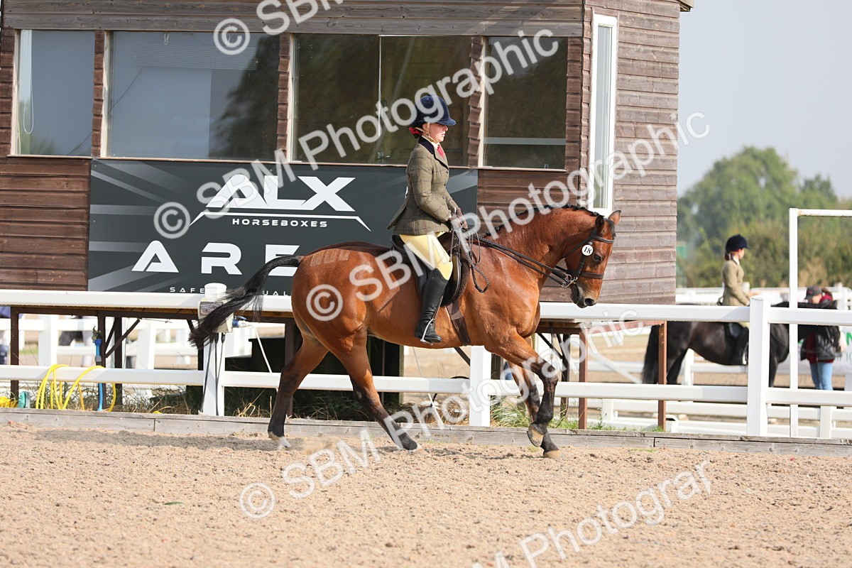 SBM_10914 - Class 304 Ridden Part Bred Horse/Pony