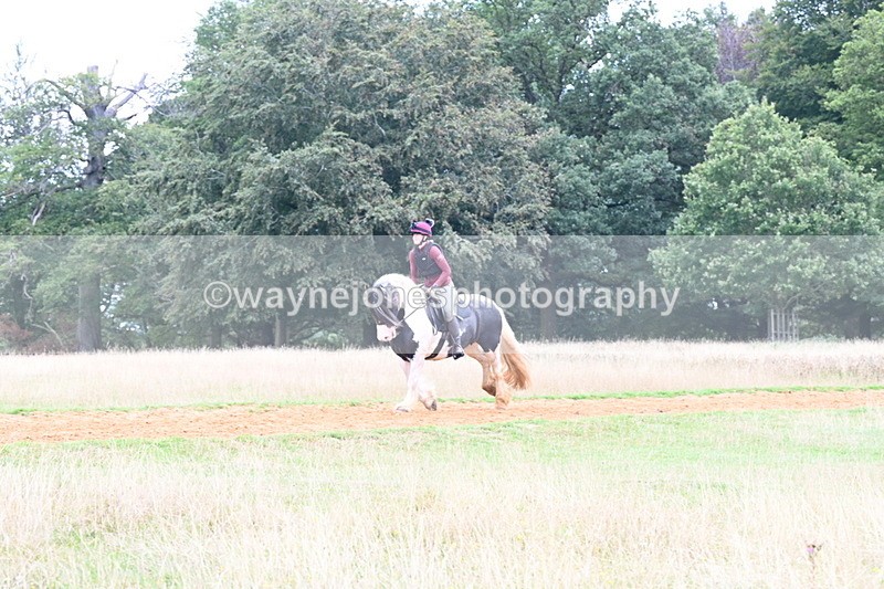 DSC_9683 - Time at Statue 15:11 to 15:58