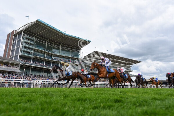 yr22052022r5-32 - Race 5: 5:35pm Sky Bet Sunday Series Sprint