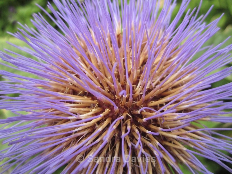  - Abstract, Macro & Misc.