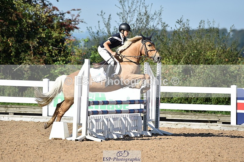 230903A-102030-03944 - Cls 18 Pony Brit Novice & 80cm Open