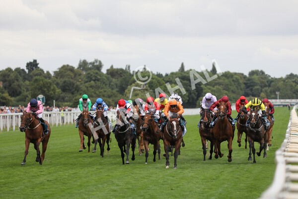 yr17082022r7-16 - Race 7 5.20pm Sky Bet Nursery Handicap