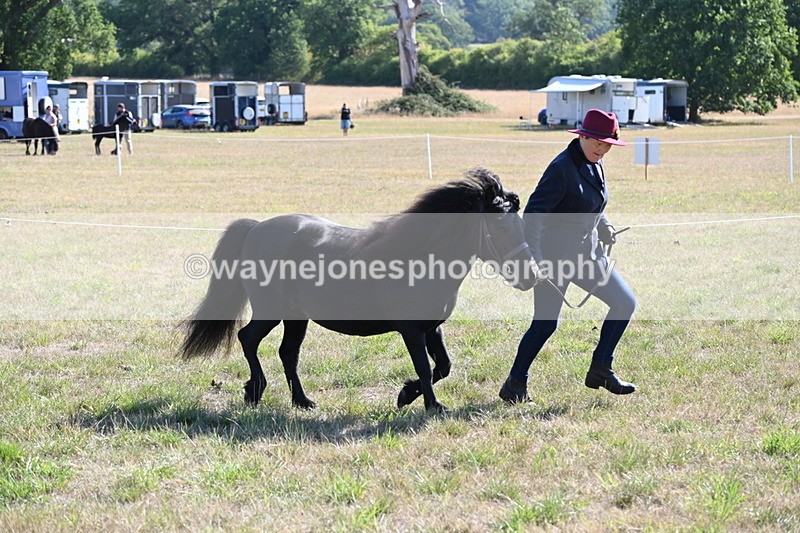 WJ6_4251 - Class 16 Condition & Turn Out