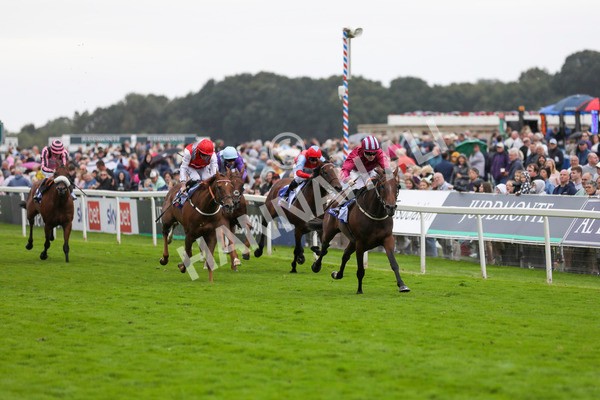 210824-Race 5-Extensio-7398 - Race 5 4.10pm Sky Bet Stayers Handicap