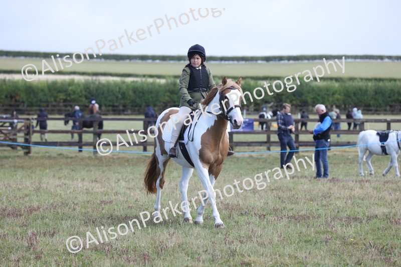 20250831-2448 - Class 16 - Family Pony