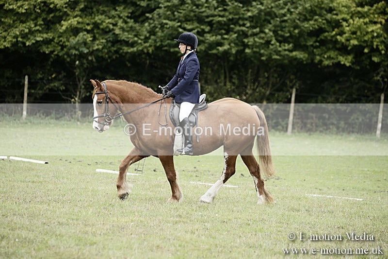 BVR080918 44 - BVRC Novice Dressage & CR 08/09/18