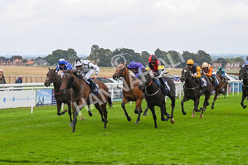 240924-Race 3-Nala Star-6107 - Race 3