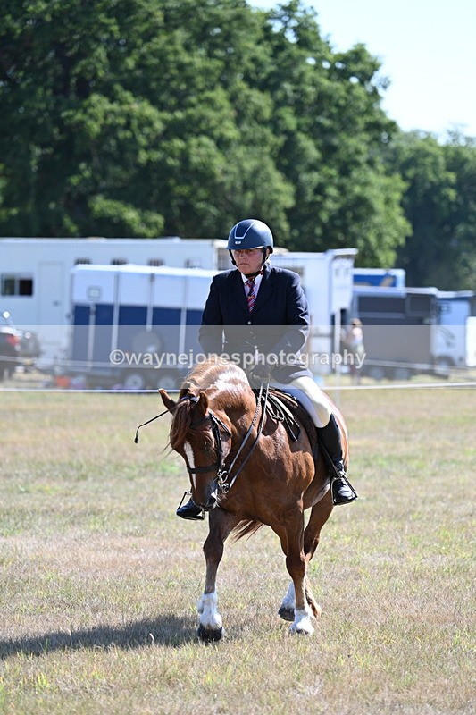 WJ7_3866 - Class 9 Mountain & Moorland Ridden