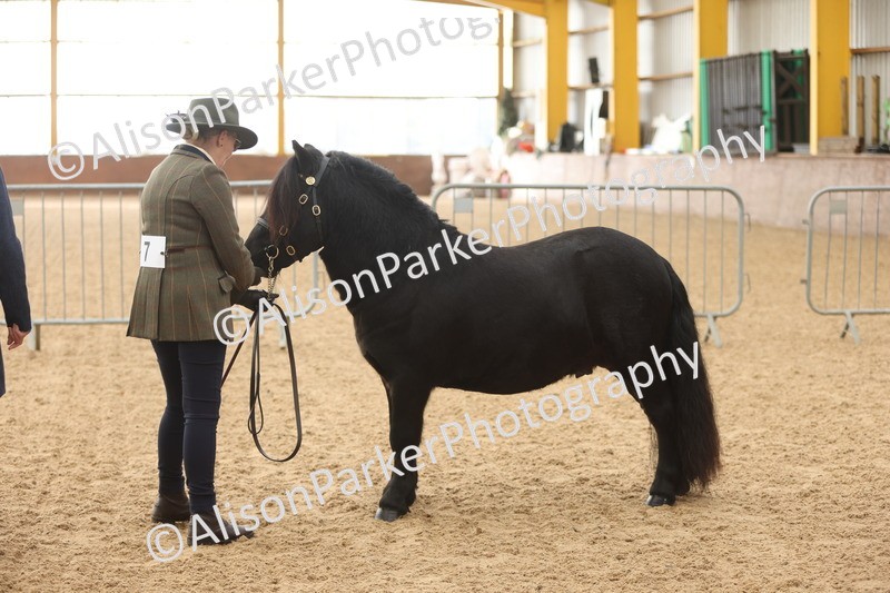 20251109-0047 - Class 3 - 2 and 3 Year Old