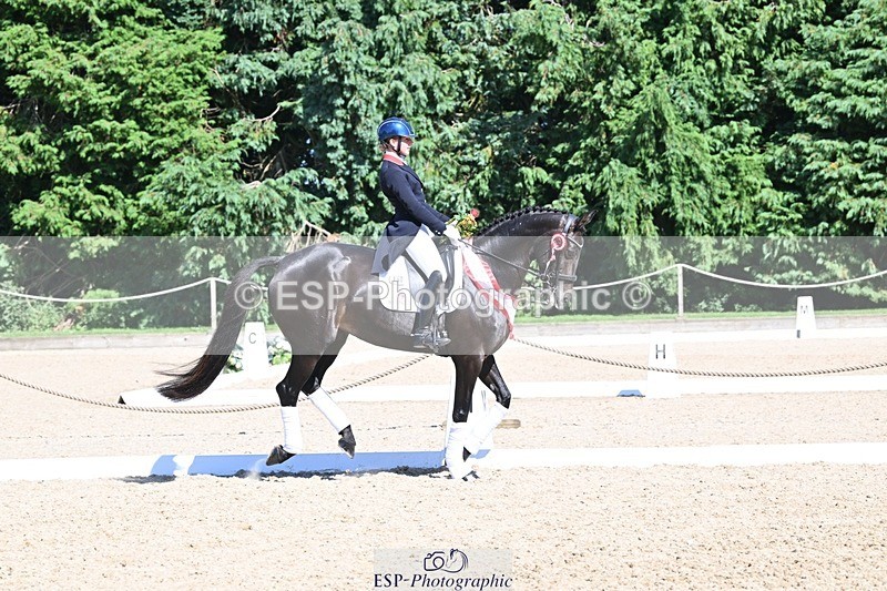 240811-154023-06748 - Inter I Gold