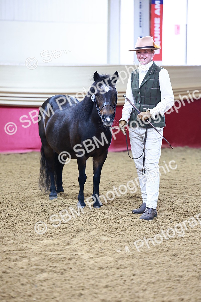 SBM_21826 - Class 901 - Supreme Final - IH  Diamond