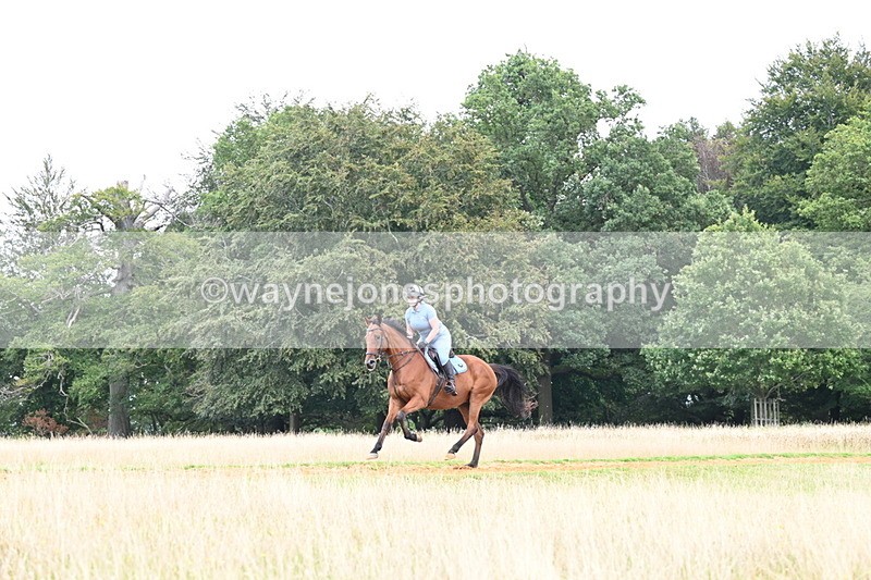 DSC_7623 - Time at Statue 13:16 to 13:52